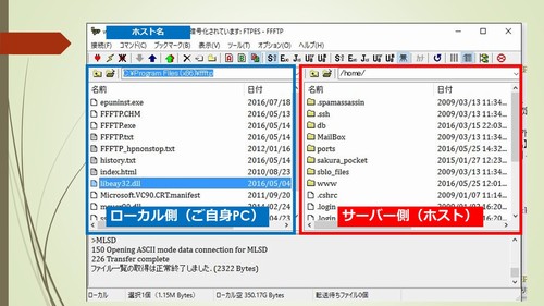 FFFTP̎g
