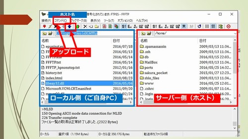 FFFTP̎g